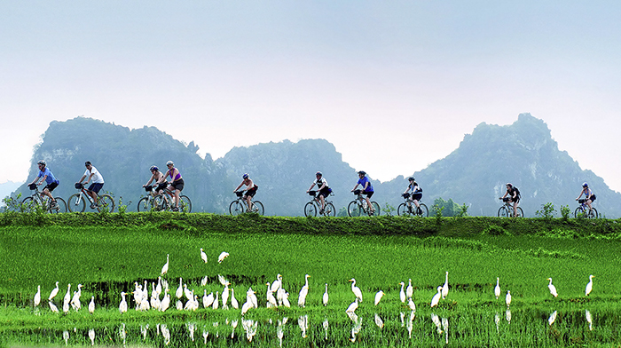 Dấu chân của du khách bốn phương đã liên tục in lên khắp các vùng miền của đất nước Việt Nam xinh đẹp mến khách