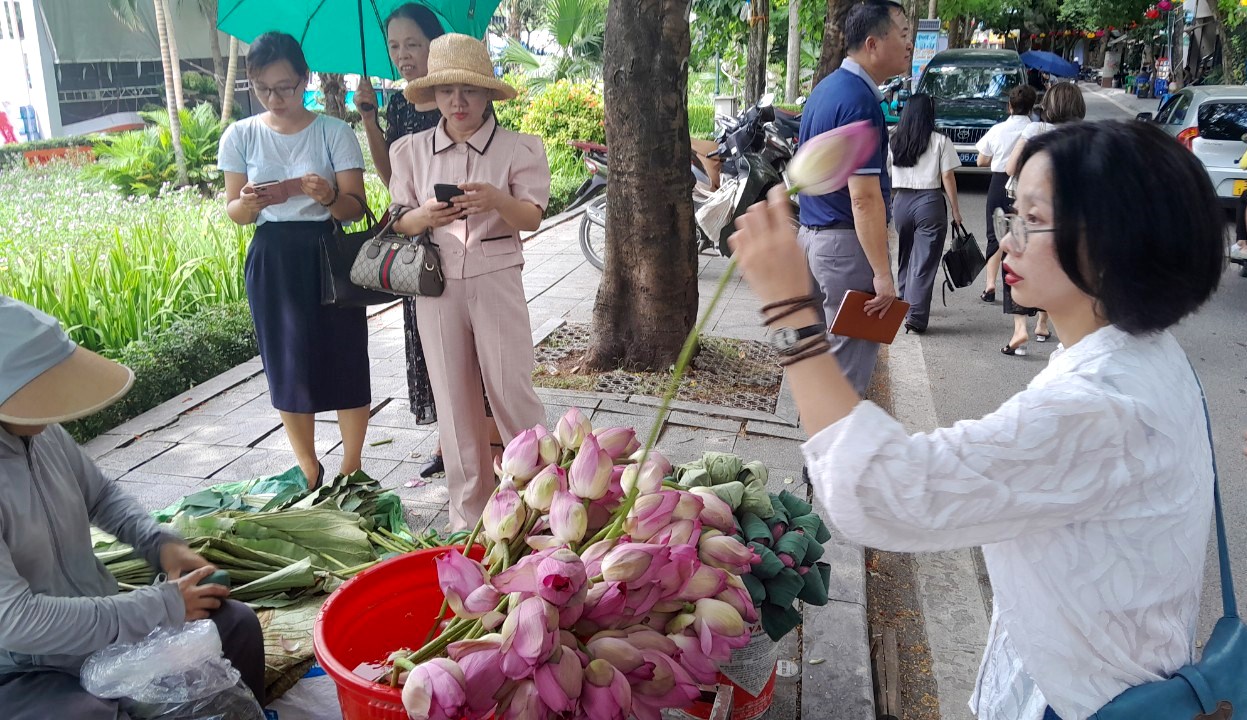 Trải nghiệm ướp trà sen bên cạnh Lễ hội Sen Hà Nội